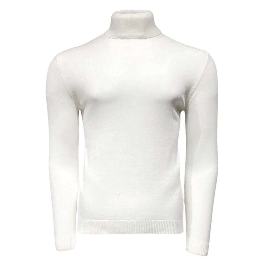 New York Man Brand Solid Cotton Blend Regular Turtle Neck Sweater