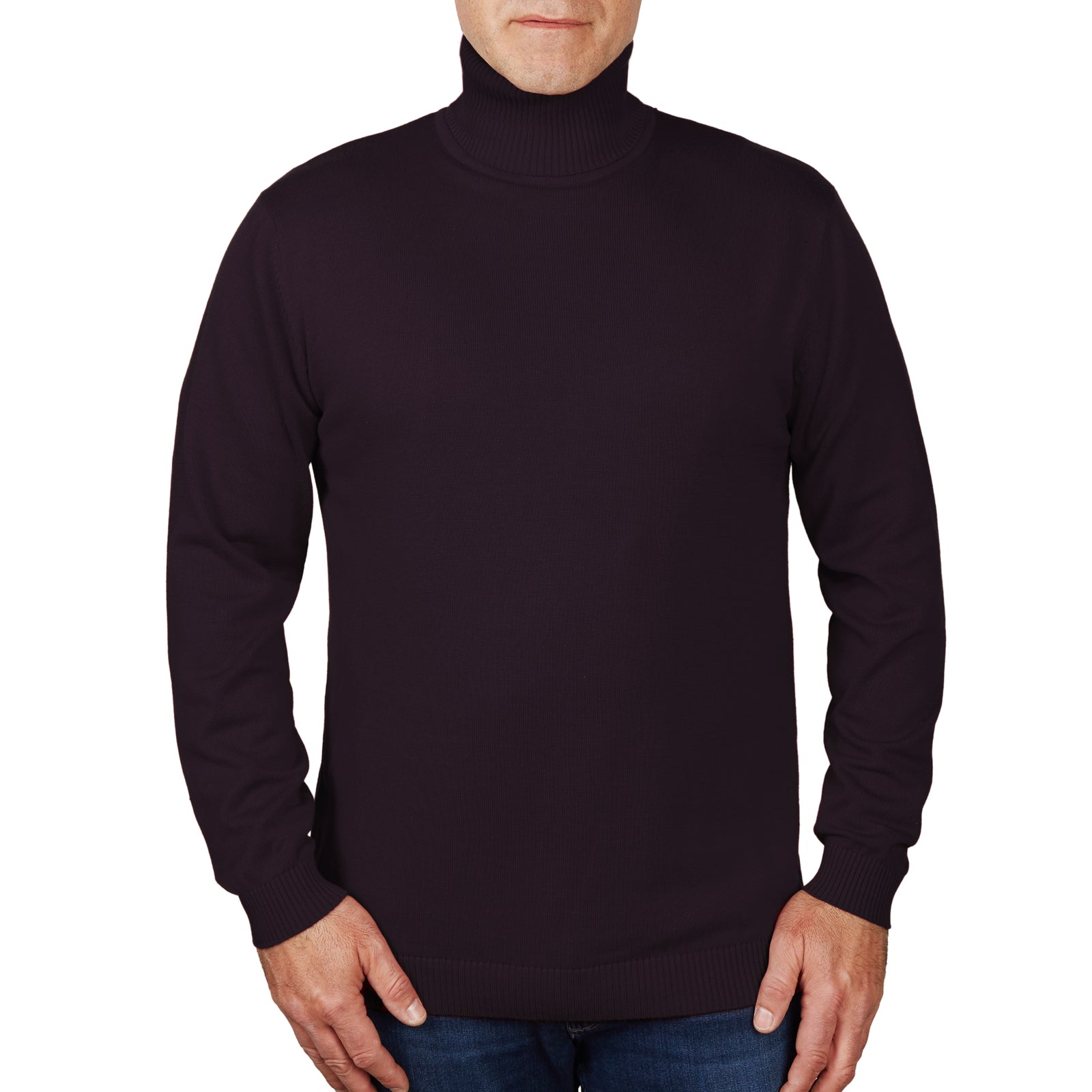 Long Sleeve Turtle Neck Sweater by Lorenzo Franco - Eggplant - sweater - view 2 | New York Man Suits