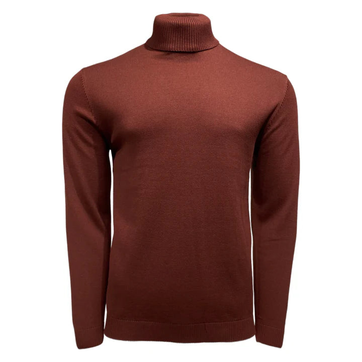 New York Man Brand Solid Cotton Blend Regular Turtle Neck Sweater