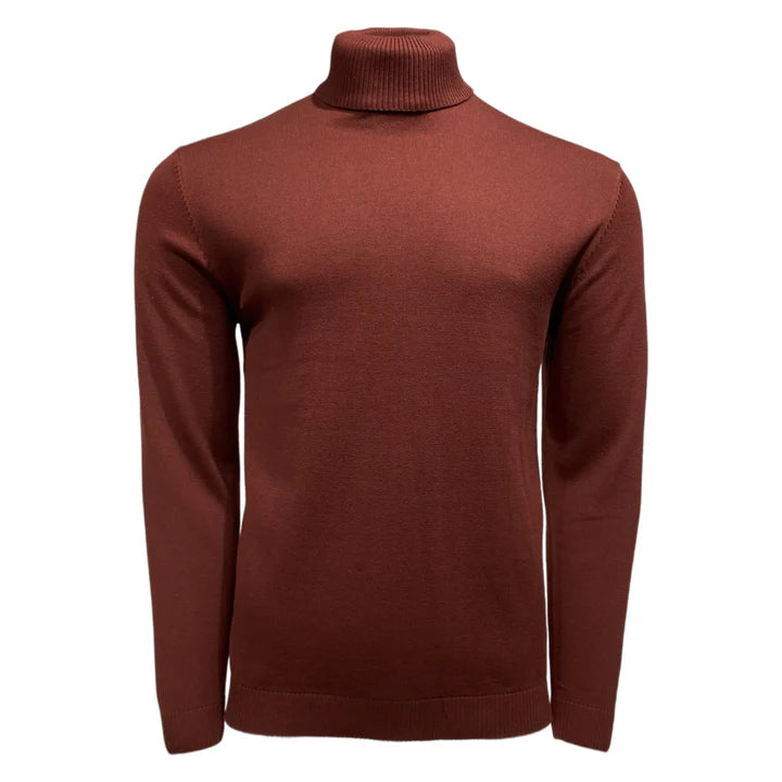 New York Man Brand Solid Cotton Blend Regular Turtle Neck Sweater - sweater | New York Man Suits